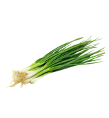 KÖTÖZŐHAGYMA VETŐMAG