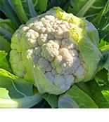 Karfiol-Brokkoli